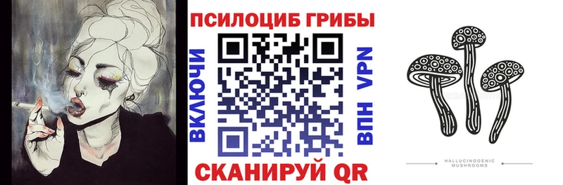 Купить закладки  Мглин  Галлюциногенные грибы Psilocybe